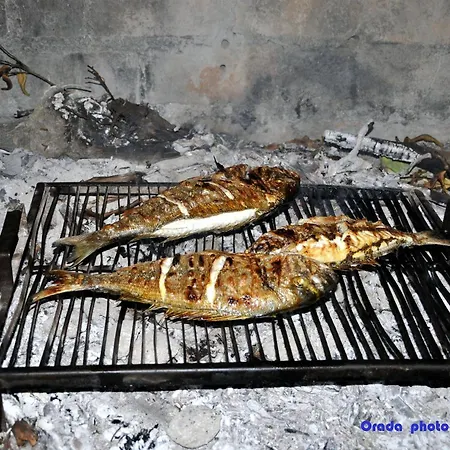 Bibi Apartmán Rogoznica (Sibenik-Knin)