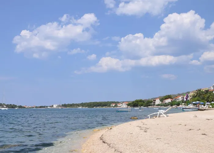 Bibi Рогозница