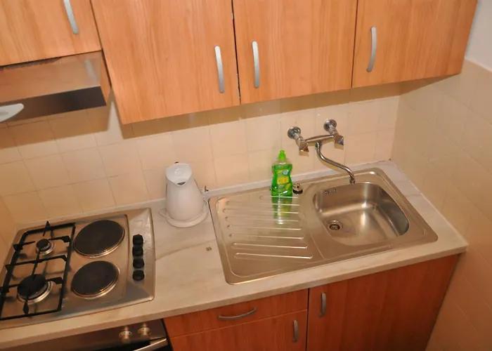 Bibi Рогозница