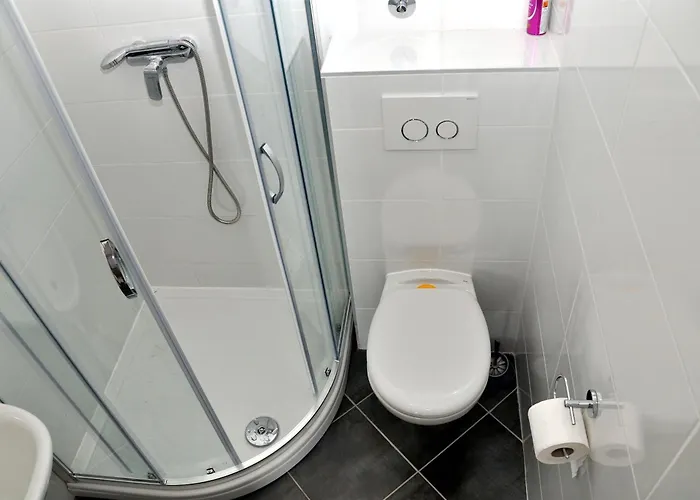 Bibi Рогозница