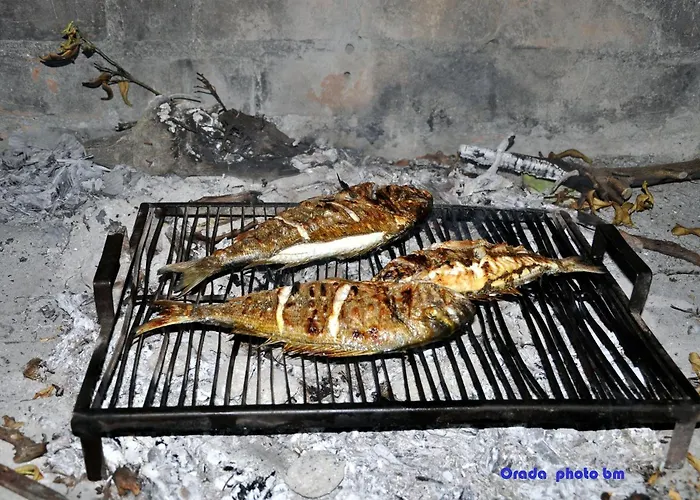 Bibi Apartment Rogoznica (Sibenik-Knin)